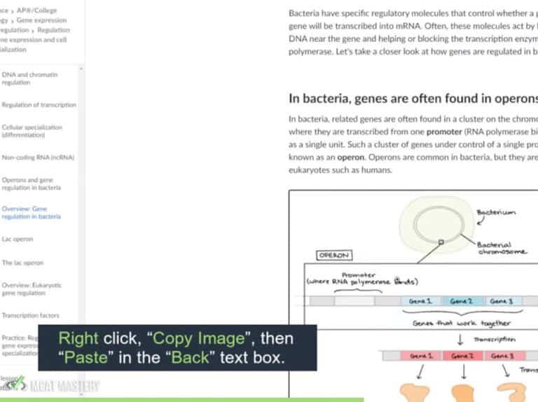 How to Use Anki for the MCAT (517 Scorer Strategy) MedLife Mastery
