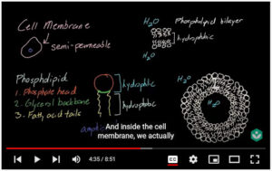 Screenshot of one of the Khan Academy Videos about cell membrane. 