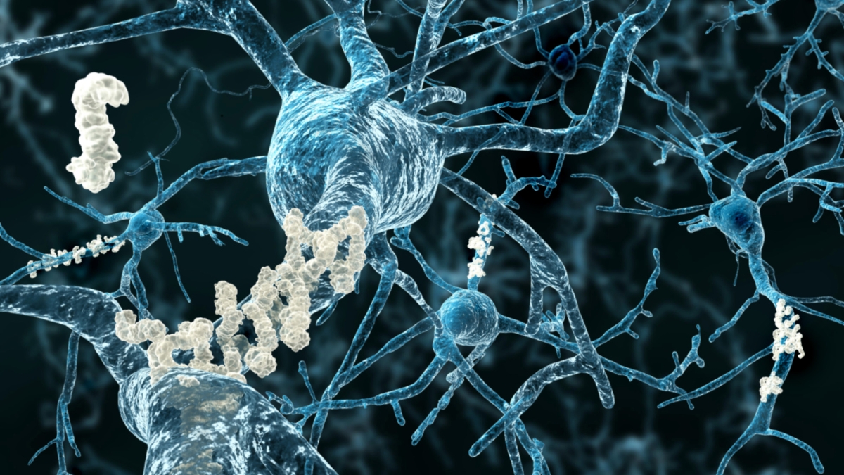 Amino Acids Reaction on the MCAT – MedLife Mastery