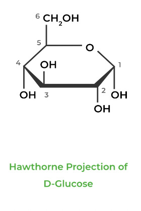 Haworth-D-Glucose Haworth D Glucose