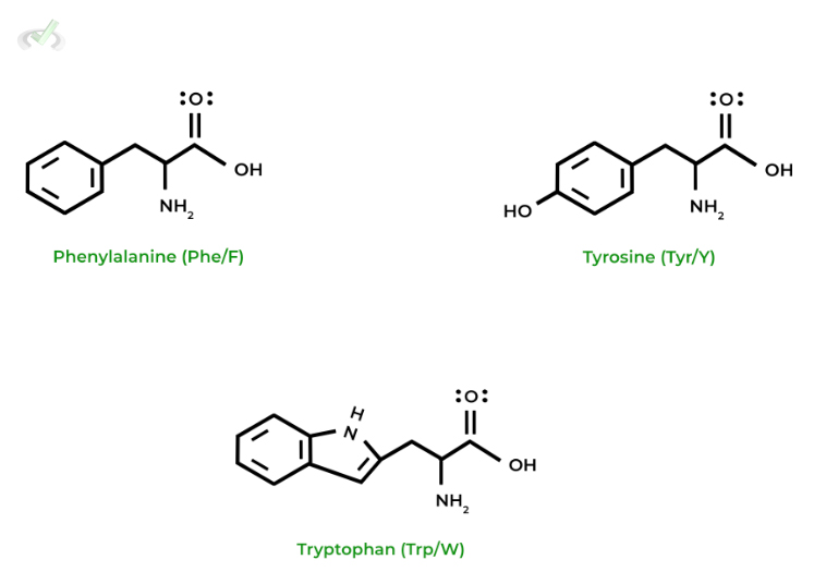Nonpolar, Aromatic Amino Acids