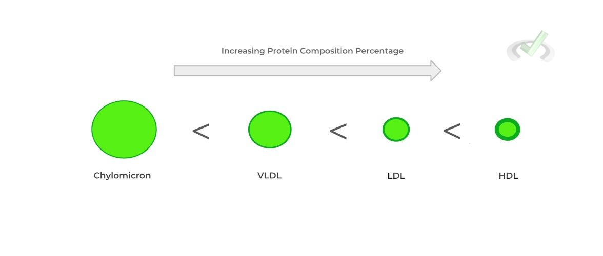 Increasing Protein Composition Percentage