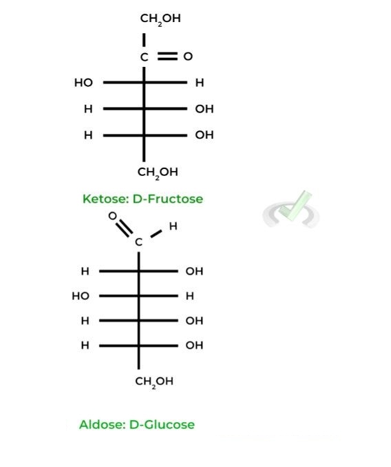 Monosaccharide Structure