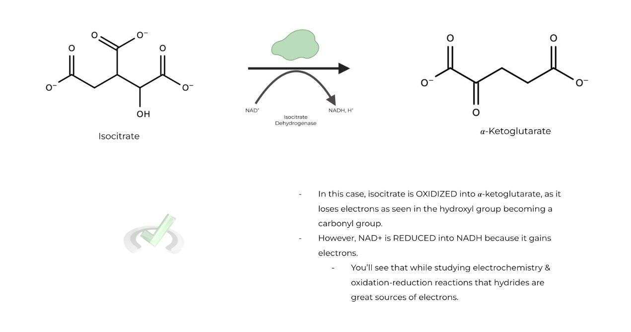 Oxidation-Reduction Reactions