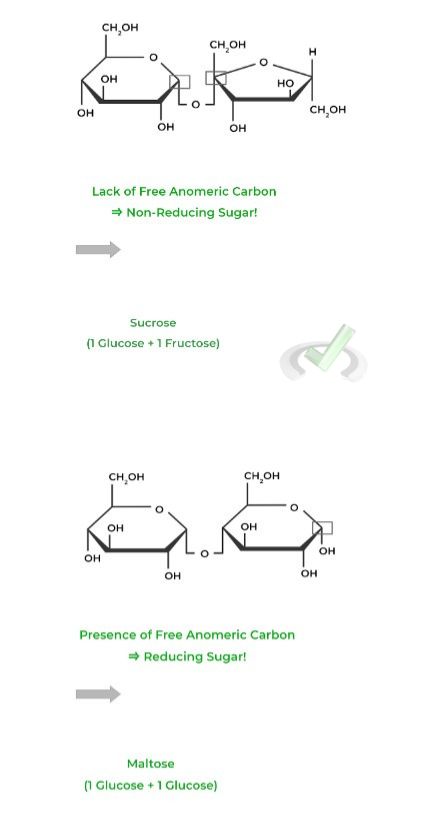Presence of Reducing Sugars