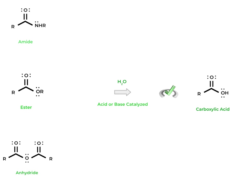 Carboxylic Acid