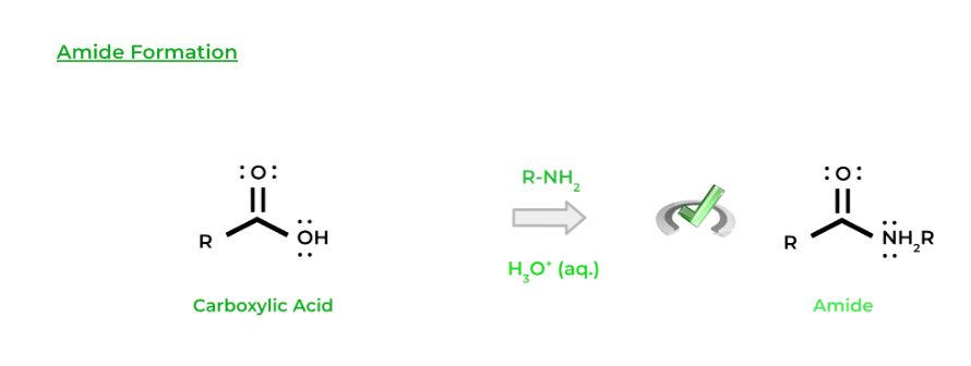 amide formation