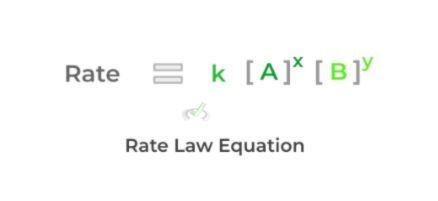 Rate Law Equation