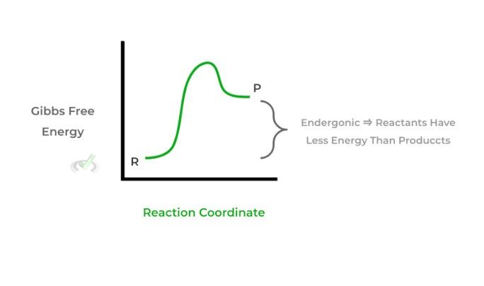 Reaction Coordinate II