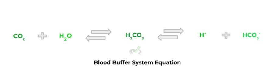 Blood Buffer System Equation