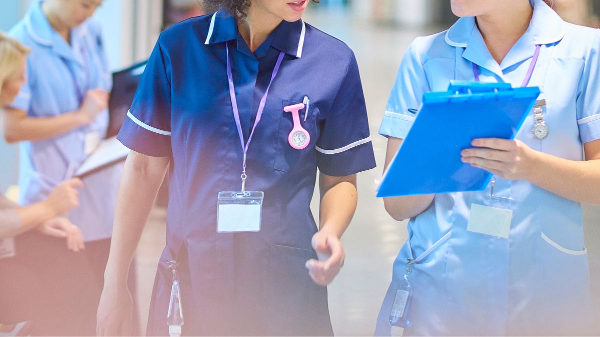 Best Alternatives to Medical Schools MedLife Mastery
