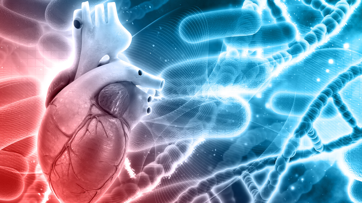 How to a Cardiovascular Technologist MedLife Mastery