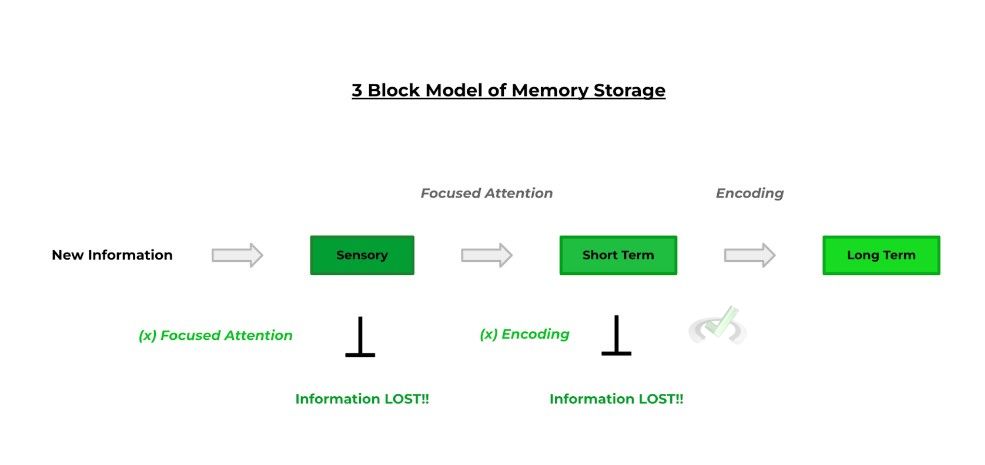 3 Block Model of Memory Storage