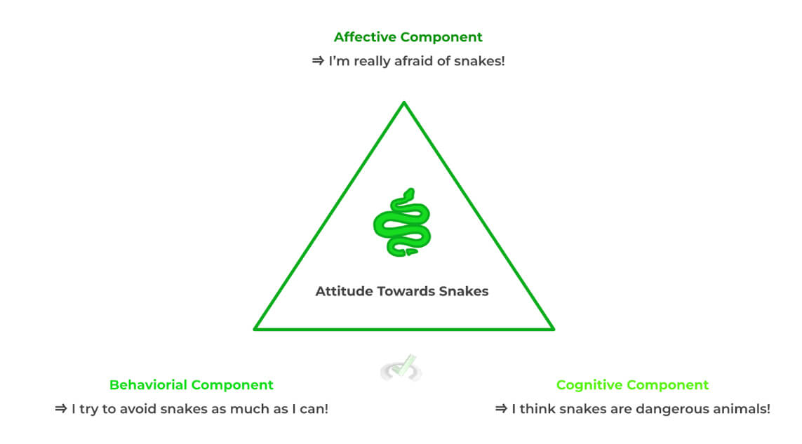 Attitude-Towards-Snakes