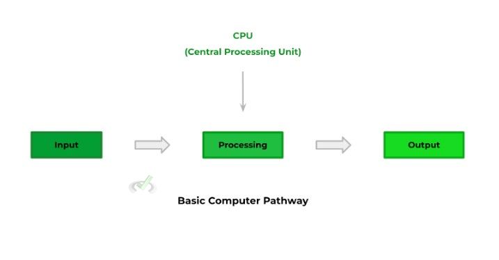 Basic Computer Pathway
