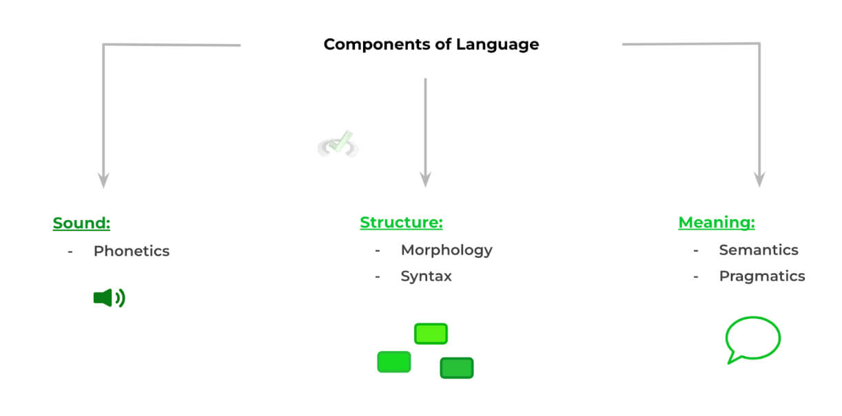 Components-of-Language