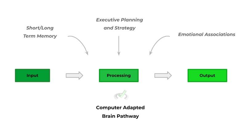 Computer Adapted Brain Pathway