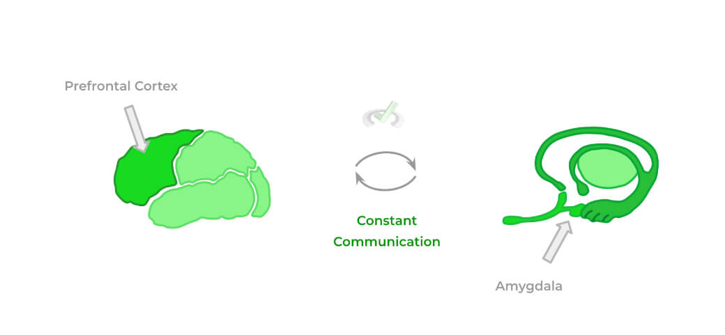 Constant-Communication