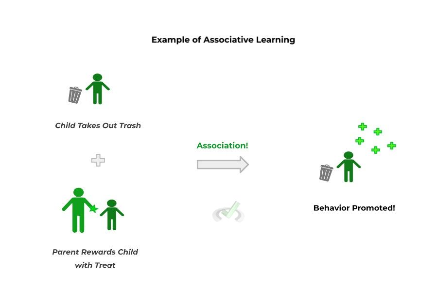 Example of Associative Learning