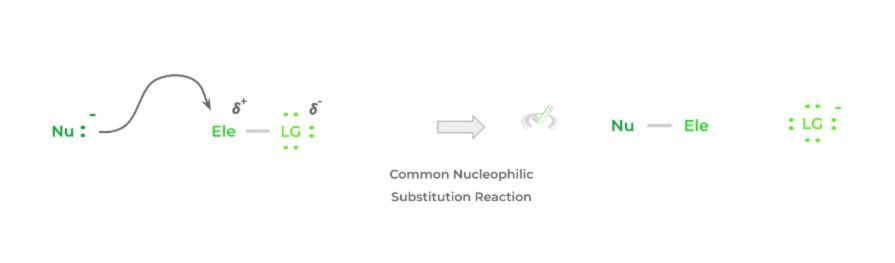Nucleophilic Substitution Reaction