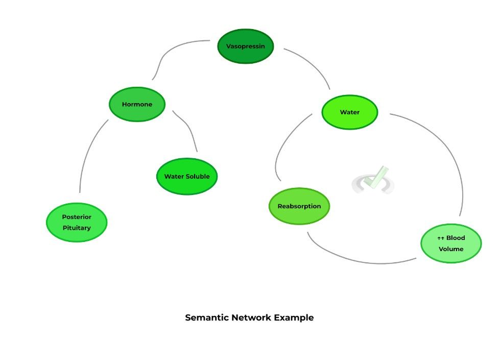 Semantic Network Example