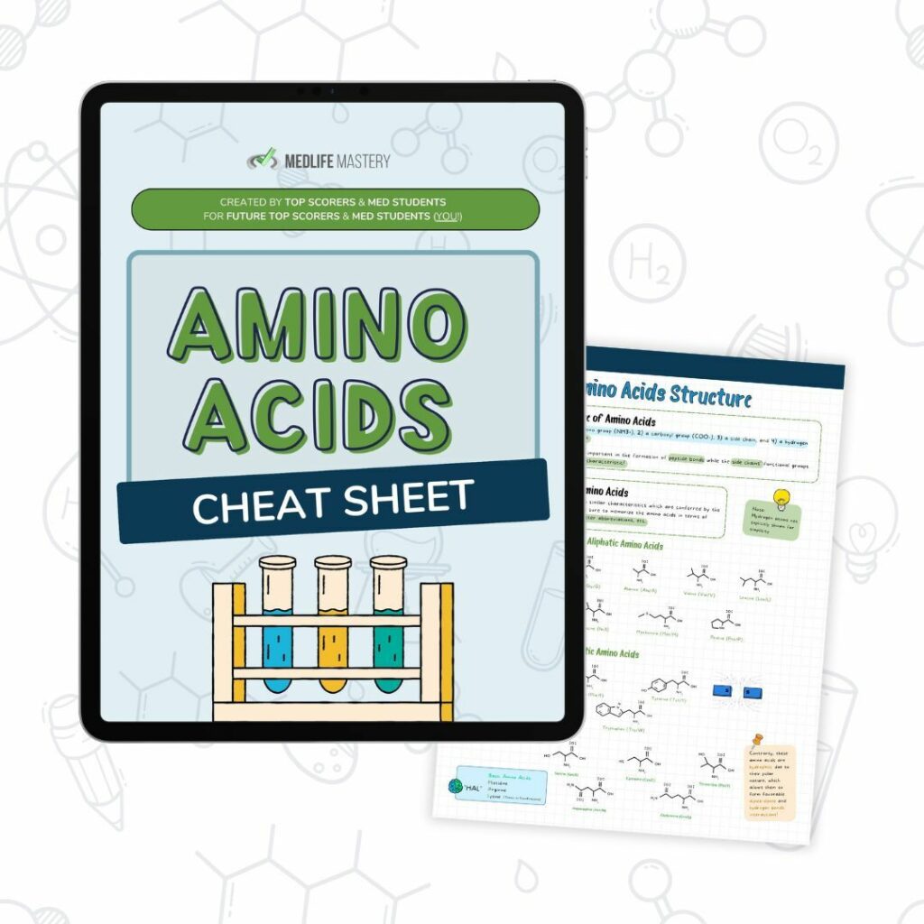 Amino Acids Cheatsheets by MedLife Mastery