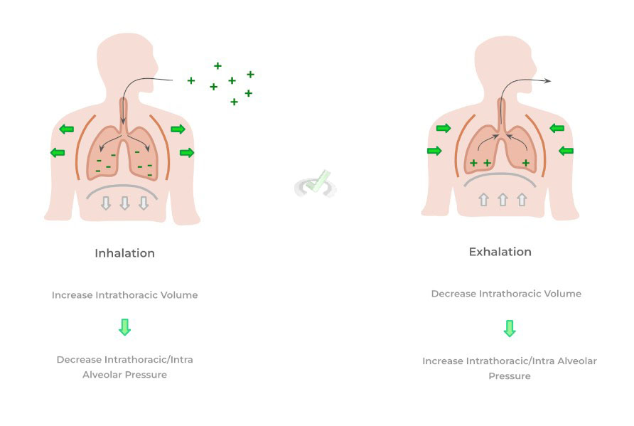 Inhale-Exhale