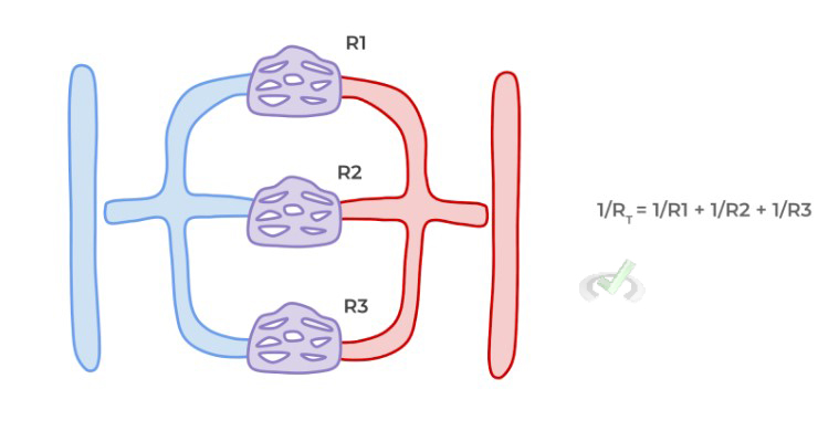 Parallel Circuit Design Of Capillary Network