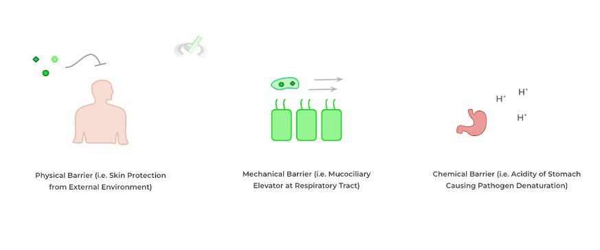 Physical-Mechanical-Chemical