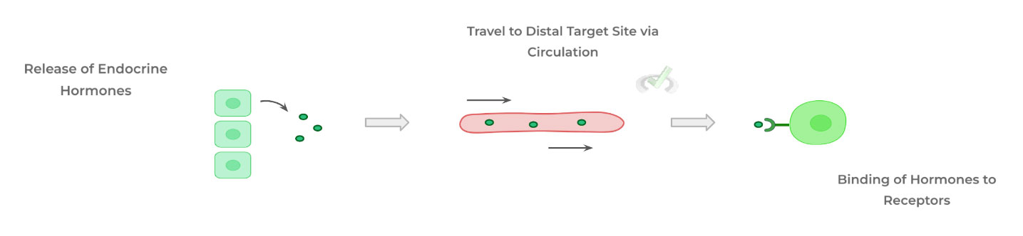 Secondary Functions