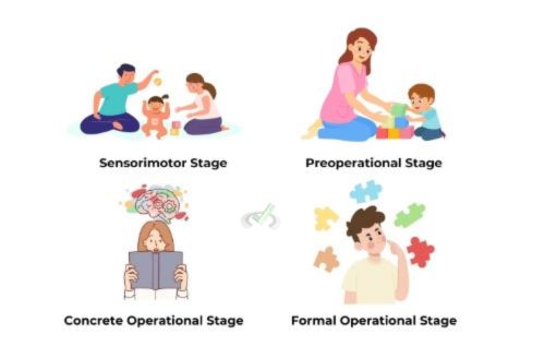 Cognitive Development Theory