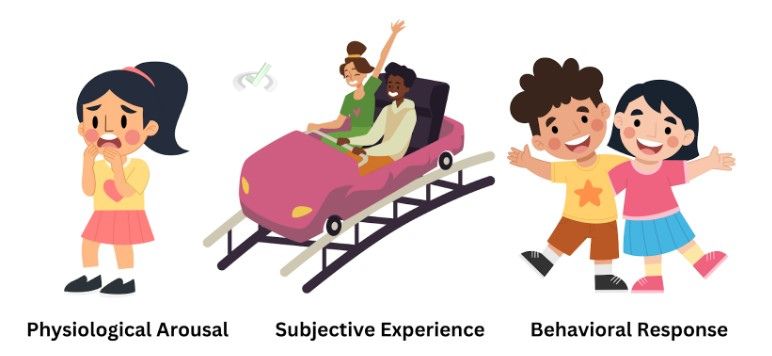 Components Of Emotion - Main Parts