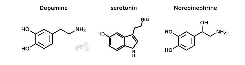 Important Neurotransmitters