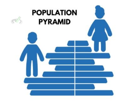 Population Pyramid