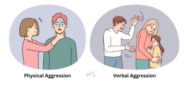 Types Of Aggression