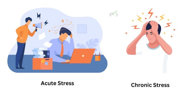 Types Of Stress