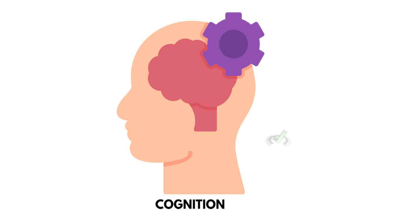 Cognition