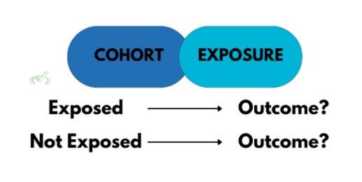 Cohort Studies