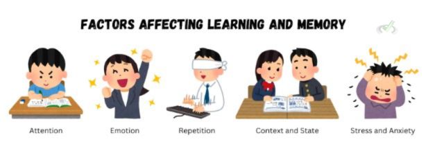 Factors Affecting Learning And Memory