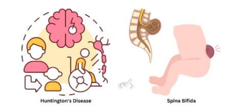 Genetic And Congenital Disorders