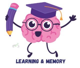 Learning And Memory