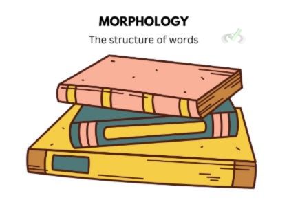 Morphology