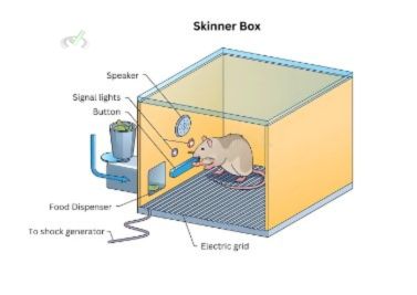 Operant Conditioning