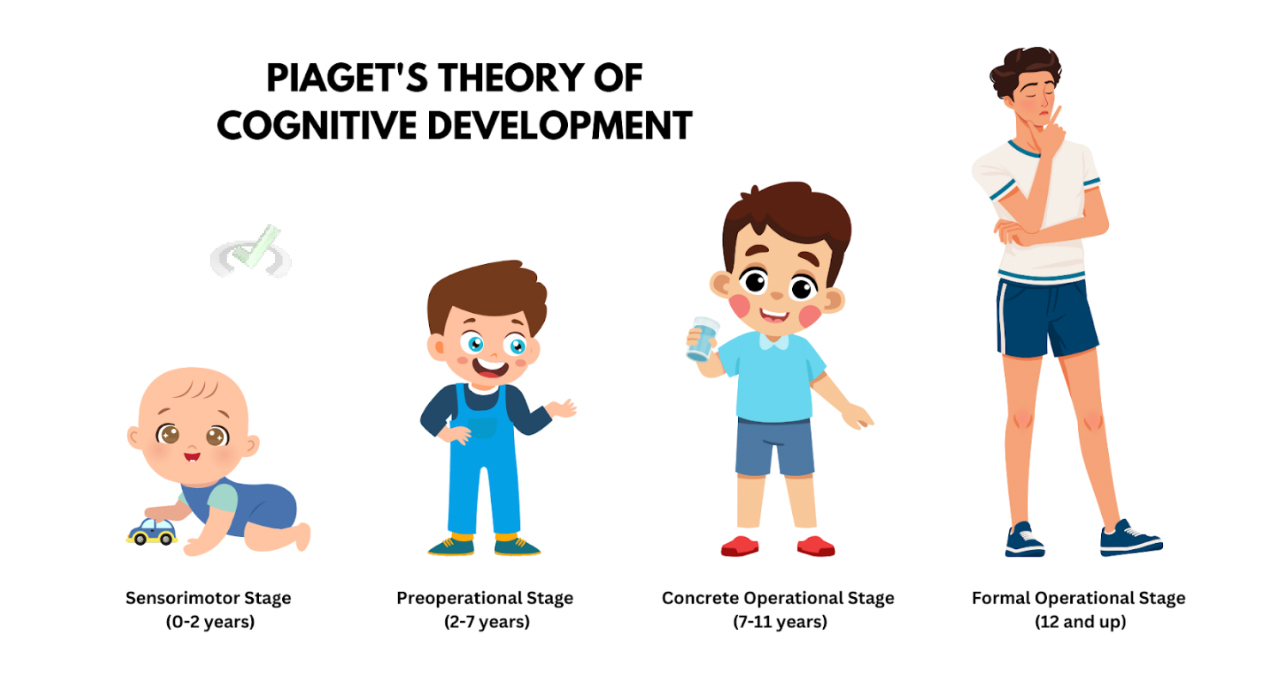 Piaget's Theory Of Cognitive Development