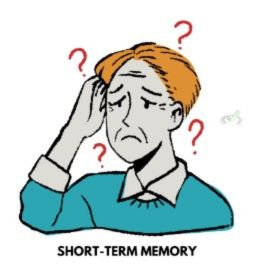 Short-Term Memory