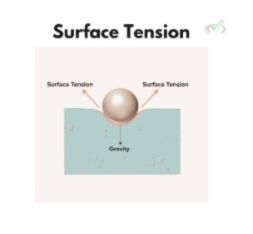 Surface Tension