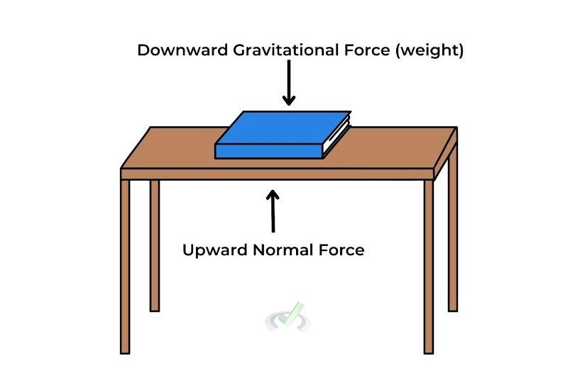 Static Equilibrium