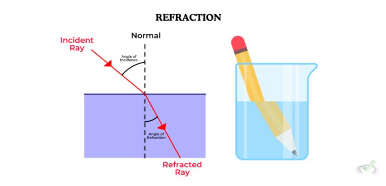 Untitled Design 10 1