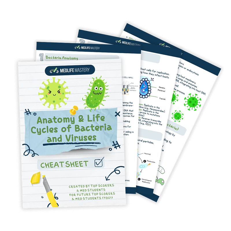 Anatomy-Life-Cycles-of-Bacteria-and-Viruses