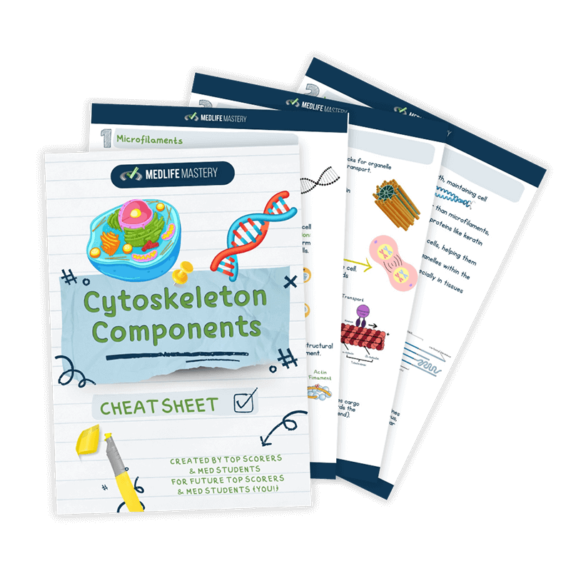 Cytoskeleton-Components